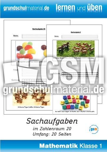 Sachaufgaben ZR20.pdf